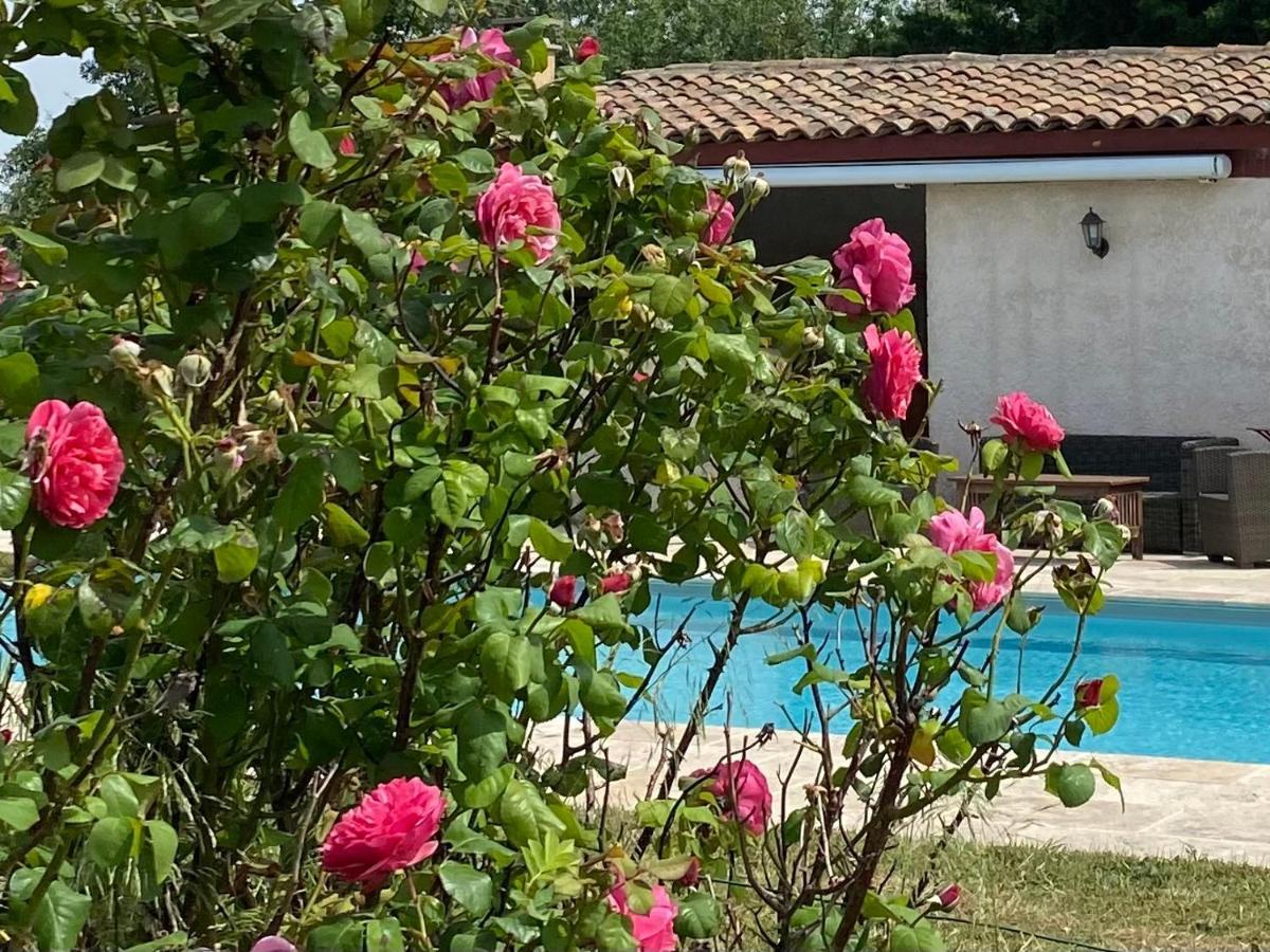 Bed and Breakfast Le Relais D'Affiac Peyriac-Minervois Exterior foto